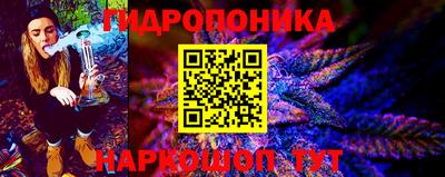 спиды Ливны