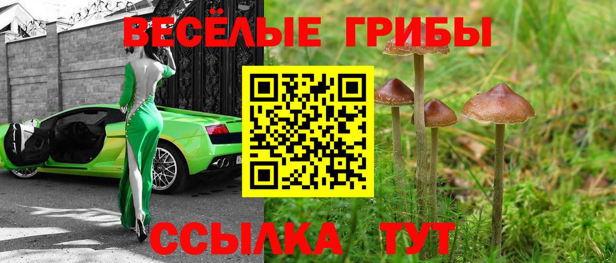 Галлюциногенные грибы мухоморы Волжск