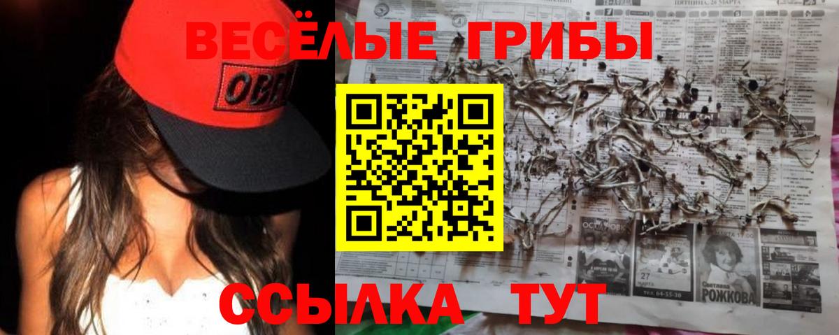 Волжск  Галлюциногенные грибы прущие грибы  Вход с VPN 
